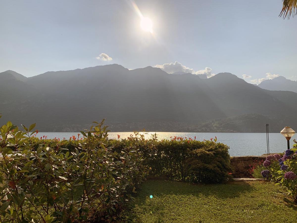 Ferienwohnung Terrace On The Lake Oliveto Lario Exterior foto